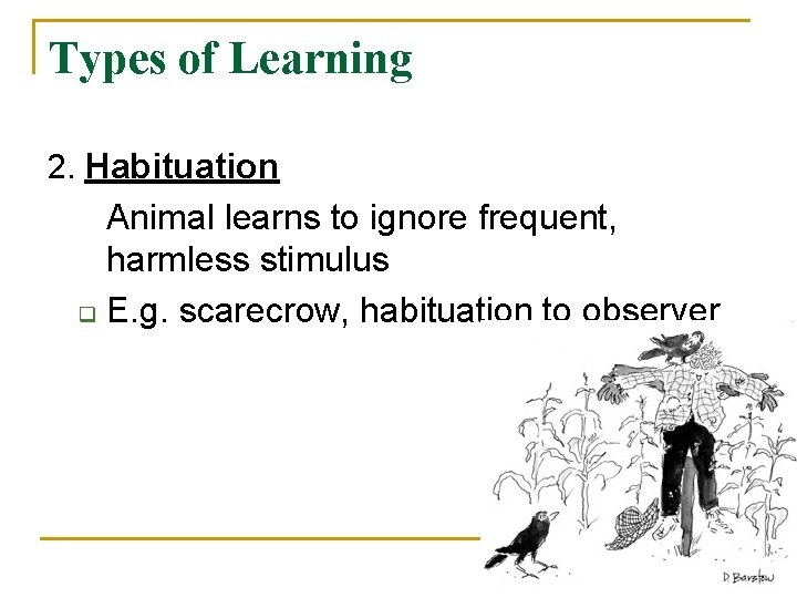 Types of Learning 2. Habituation Animal learns to ignore frequent, harmless stimulus q E.