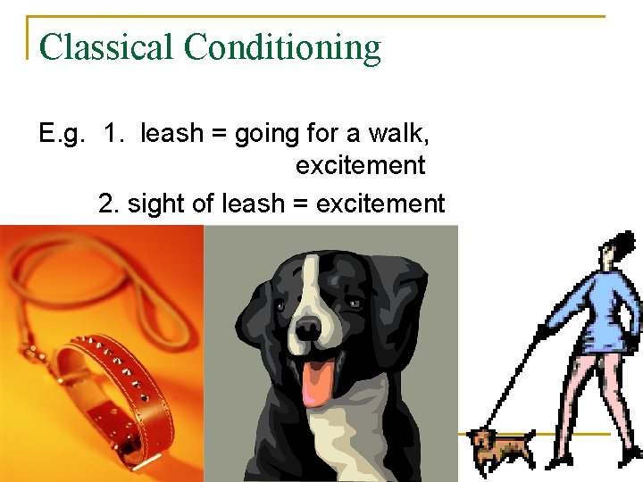 Classical Conditioning E. g. 1. leash = going for a walk, excitement 2. sight