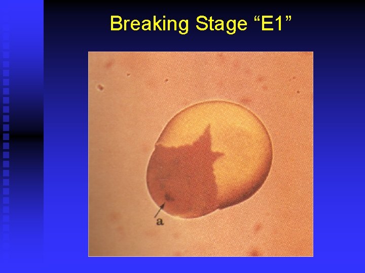 Breaking Stage “E 1” 
