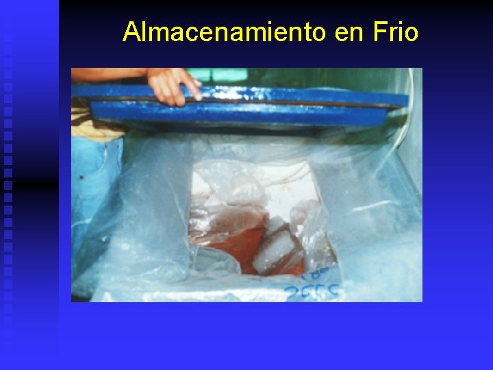 Almacenamiento en Frio 