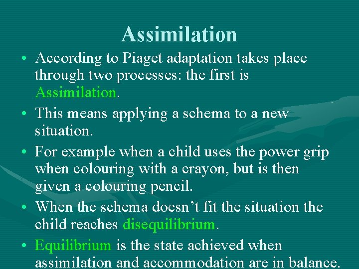 Assimilation • According to Piaget adaptation takes place through two processes: the first is