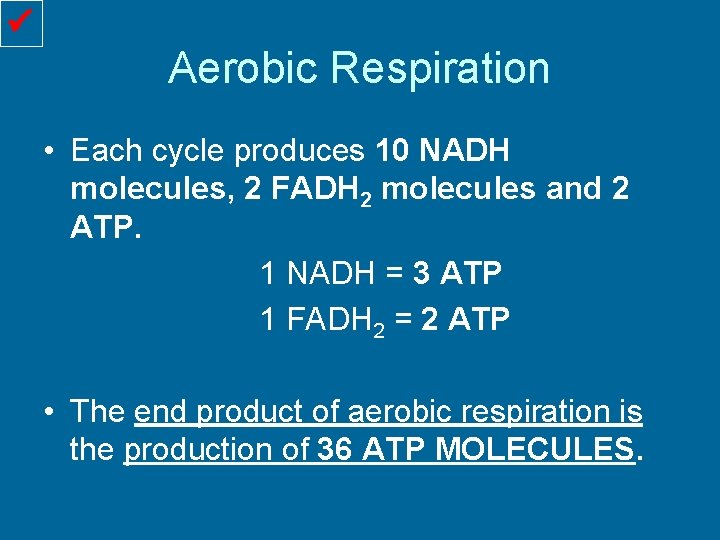  Aerobic Respiration • Each cycle produces 10 NADH molecules, 2 FADH 2 molecules