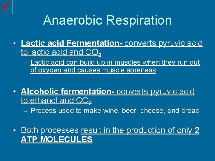  Anaerobic Respiration • Lactic acid Fermentation- converts pyruvic acid to lactic acid and