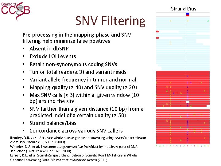 Strand Bias SNV Filtering Pre-processing in the mapping phase and SNV filtering help minimize