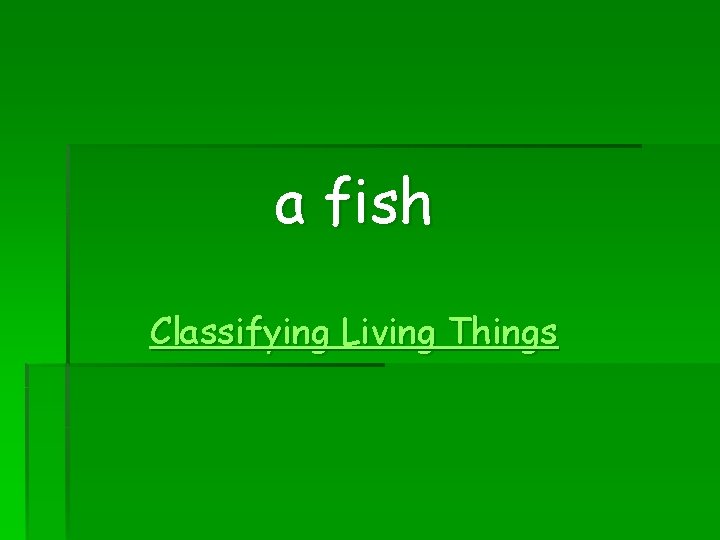 a fish Classifying Living Things 