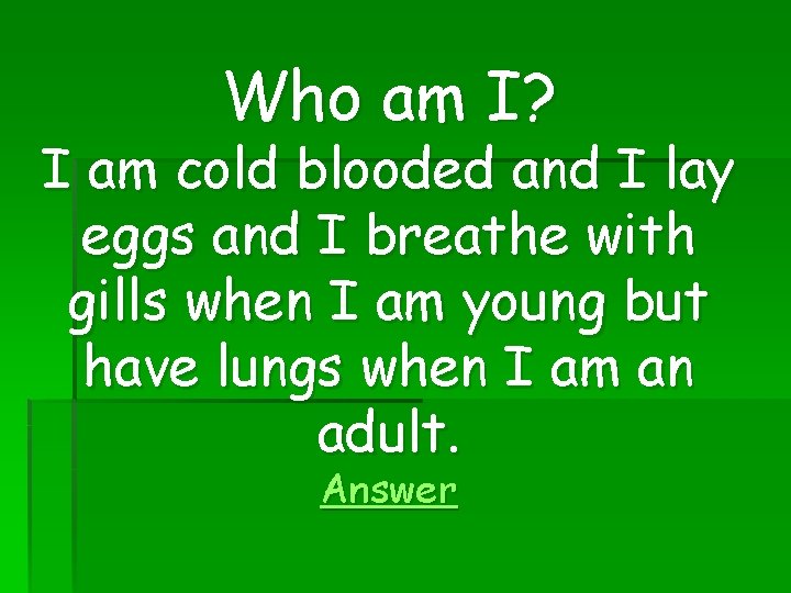 Who am I? I am cold blooded and I lay eggs and I breathe
