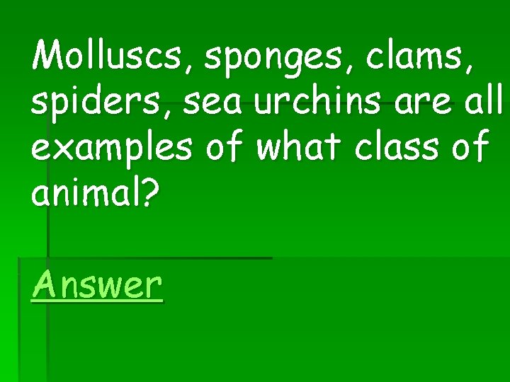Molluscs, sponges, clams, spiders, sea urchins are all examples of what class of animal?