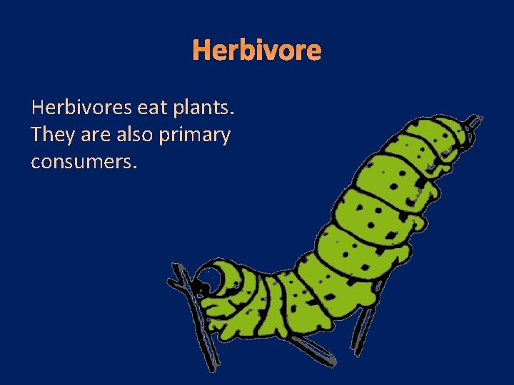 Herbivores eat plants. They are also primary consumers. 