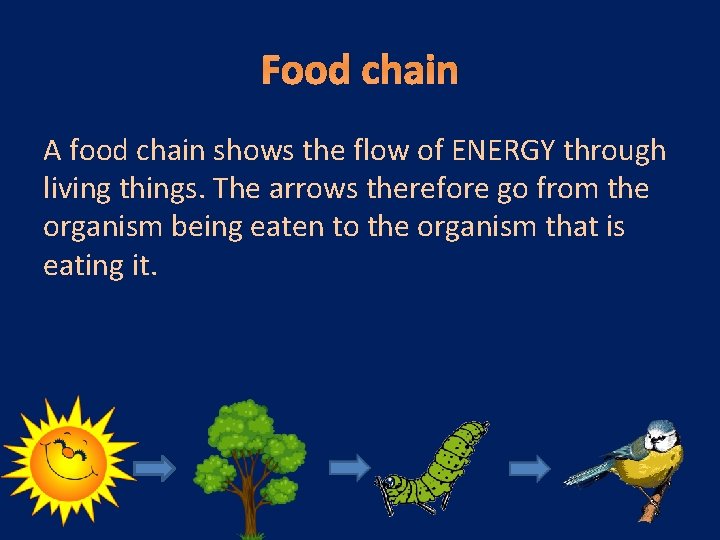 Food chain A food chain shows the flow of ENERGY through living things. The