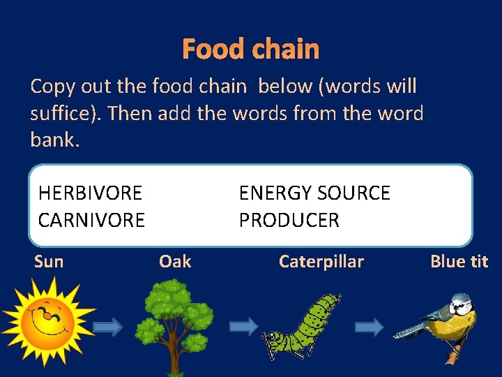 Food chain Copy out the food chain below (words will suffice). Then add the