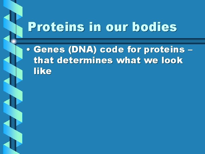 Proteins in our bodies • Genes (DNA) code for proteins – that determines what Proteins in our bodies • Genes (DNA) code for proteins – that determines what