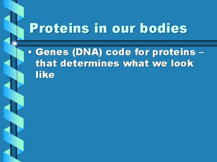 Proteins in our bodies • Genes (DNA) code for proteins – that determines what