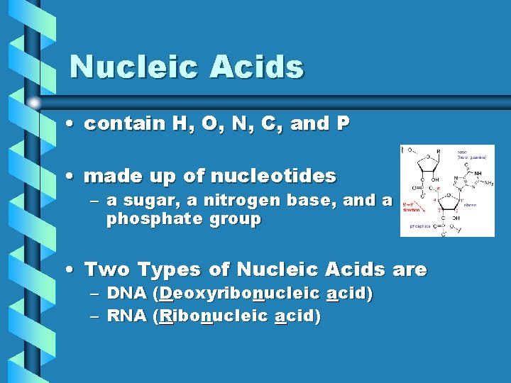 Nucleic Acids • contain H, O, N, C, and P • made up of