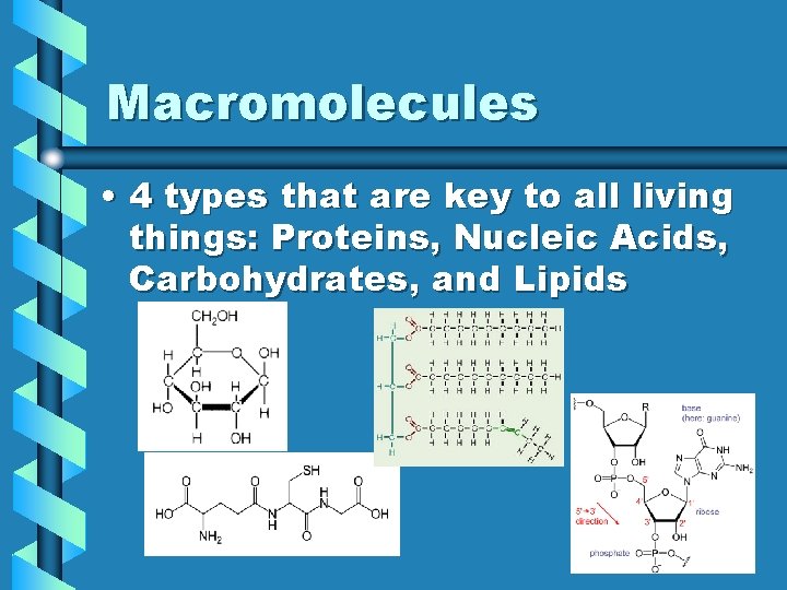 Macromolecules • 4 types that are key to all living things: Proteins, Nucleic Acids,