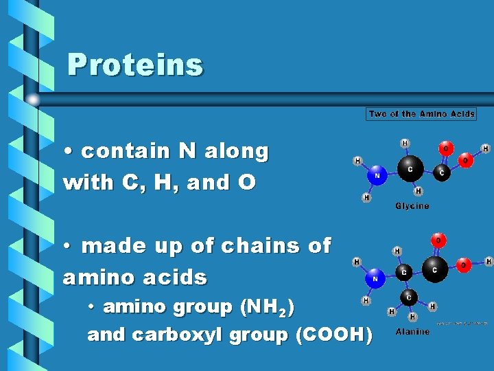 Proteins • contain N along with C, H, and O • made up of