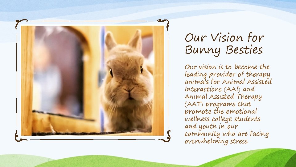 Our Vision for Bunny Besties Our vision is to become the leading provider of