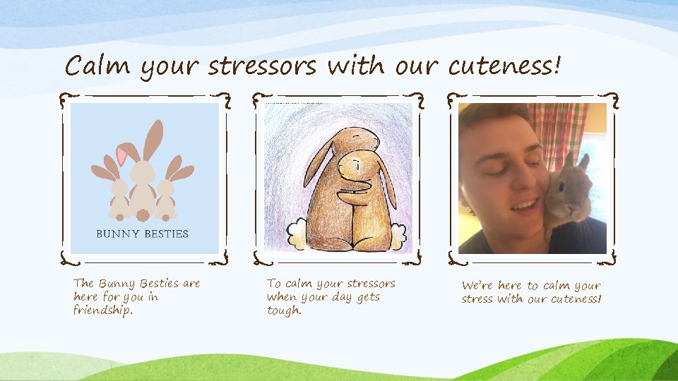 Calm your stressors with our cuteness! The Bunny Besties are here for you in