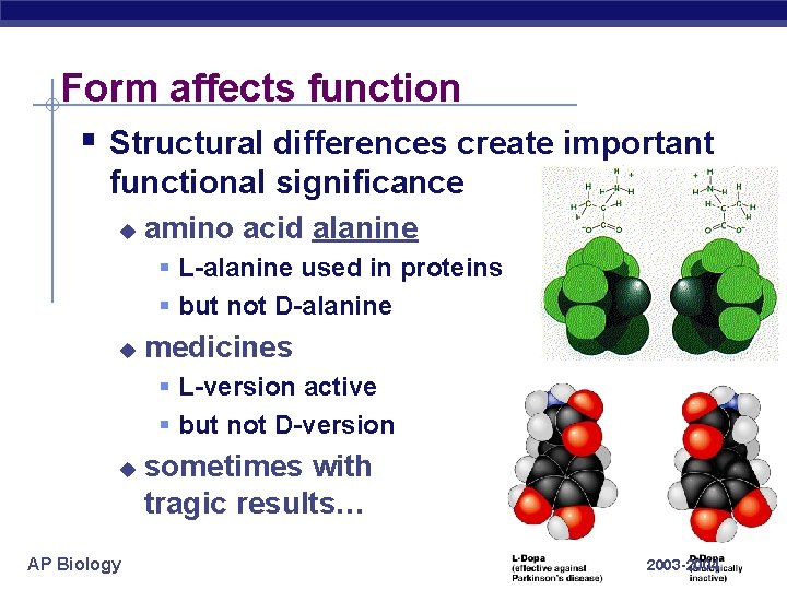 Form affects function § Structural differences create important functional significance u amino acid alanine