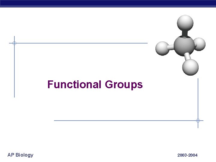 Functional Groups AP Biology 2003 -2004 