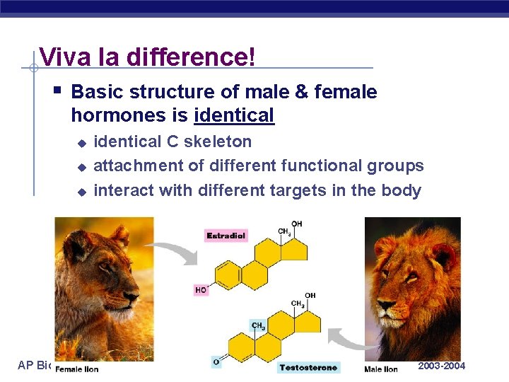 Viva la difference! § Basic structure of male & female hormones is identical u