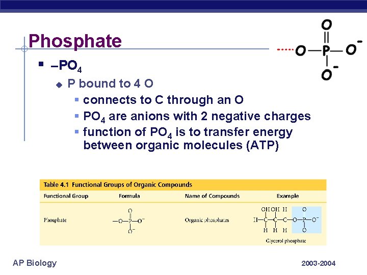 Phosphate § –PO 4 u AP Biology P bound to 4 O § connects
