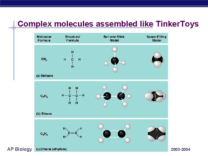 Complex molecules assembled like Tinker. Toys AP Biology 2003 -2004 