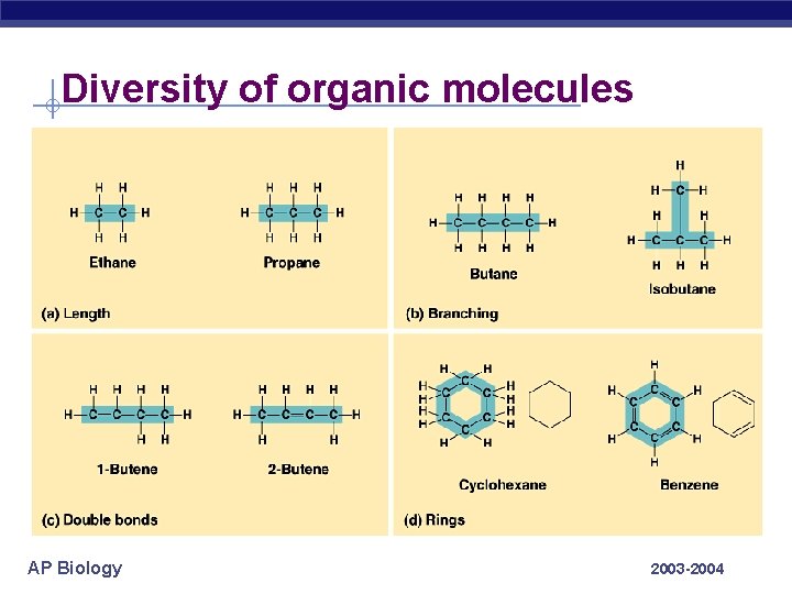Diversity of organic molecules AP Biology 2003 -2004 