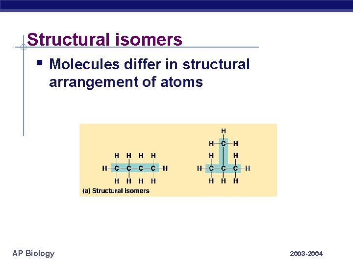 Structural isomers § Molecules differ in structural arrangement of atoms AP Biology 2003 -2004