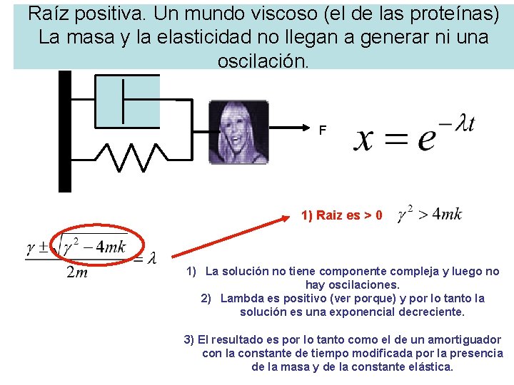 Raíz positiva. Un mundo viscoso (el de las proteínas) La masa y la elasticidad