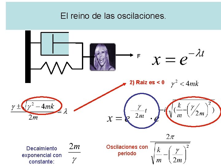 El reino de las oscilaciones. F 2) Raiz es < 0 Decaimiento exponencial constante: