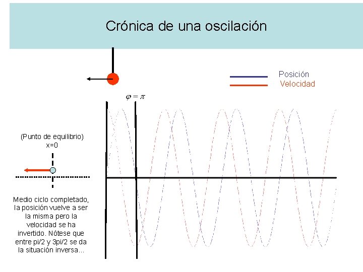 Crónica de una oscilación Posición Velocidad (Punto de equilibrio) x=0 Medio ciclo completado, la