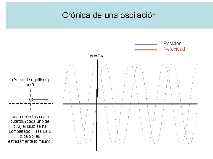 Crónica de una oscilación Posición Velocidad (Punto de equilibrio) x=0 Luego de estos cuatro