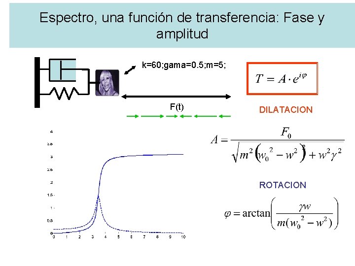 Espectro, una función de transferencia: Fase y amplitud k=60; gama=0. 5; m=5; F(t) DILATACION