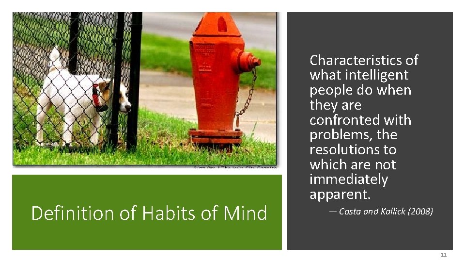 Definition of Habits of Mind Characteristics of what intelligent people do when they are