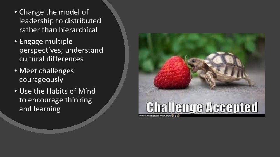  • Change the model of leadership to distributed rather than hierarchical • Engage