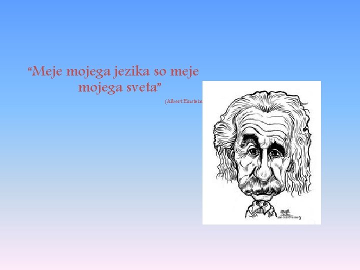 “Meje mojega jezika so meje mojega sveta” (Albert Einstein) 