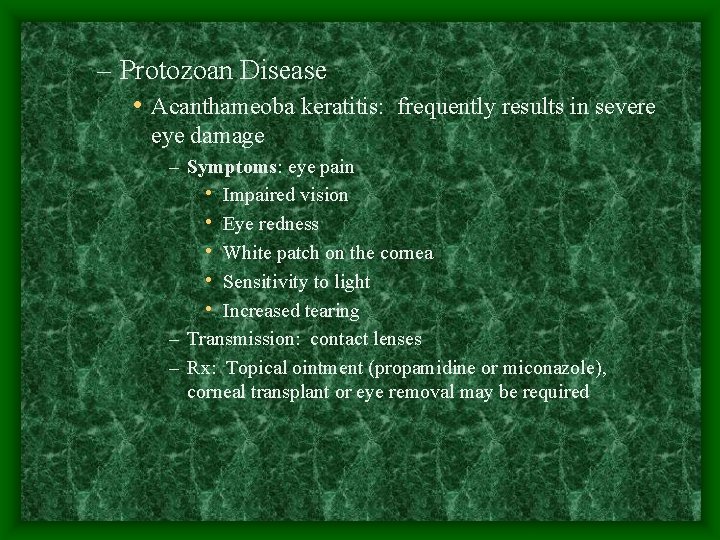 – Protozoan Disease • Acanthameoba keratitis: frequently results in severe eye damage – Symptoms: