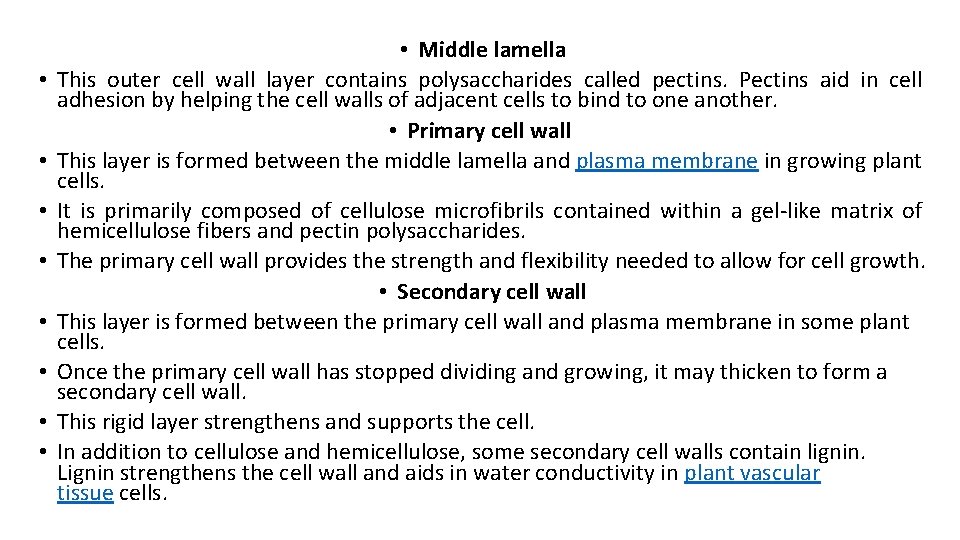 • • • Middle lamella This outer cell wall layer contains polysaccharides called