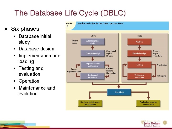 The Database Life Cycle (DBLC) § Six phases: § Database initial study § Database