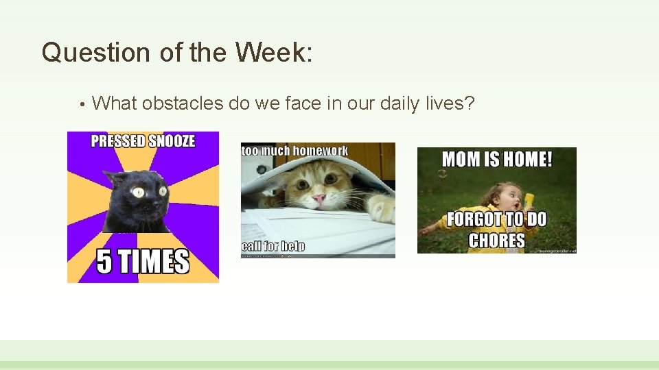 Question of the Week: • What obstacles do we face in our daily lives?