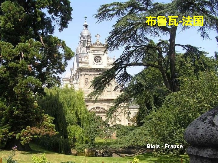 布鲁瓦-法国 Blois - France 