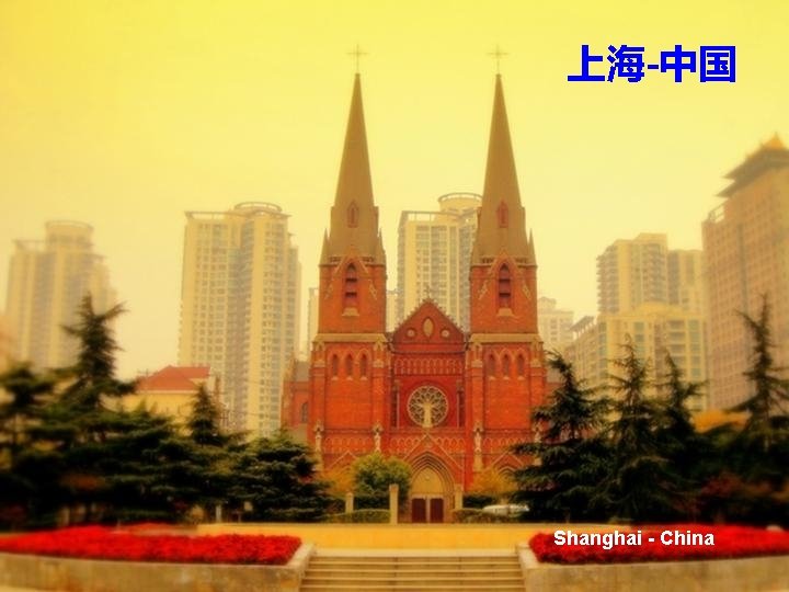 上海-中国 Shanghai - China 