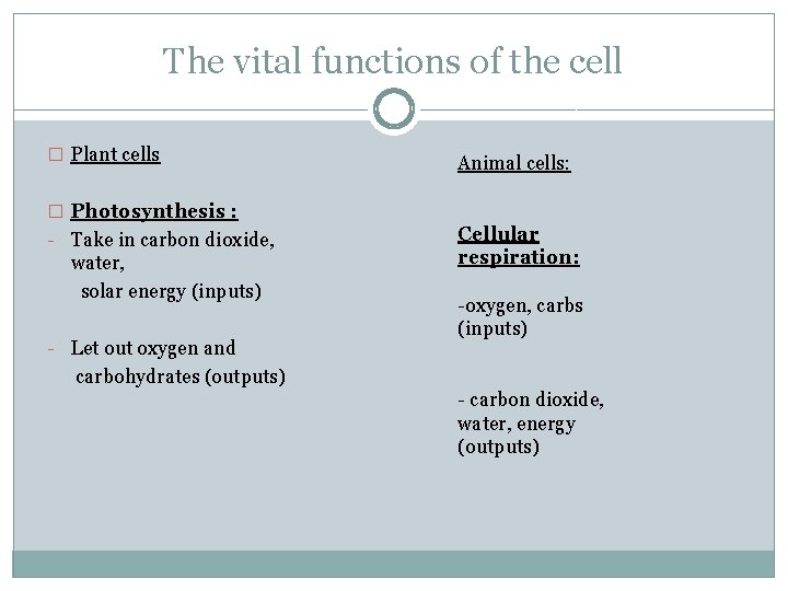 The vital functions of the cell � Plant cells Animal cells: � Photosynthesis :