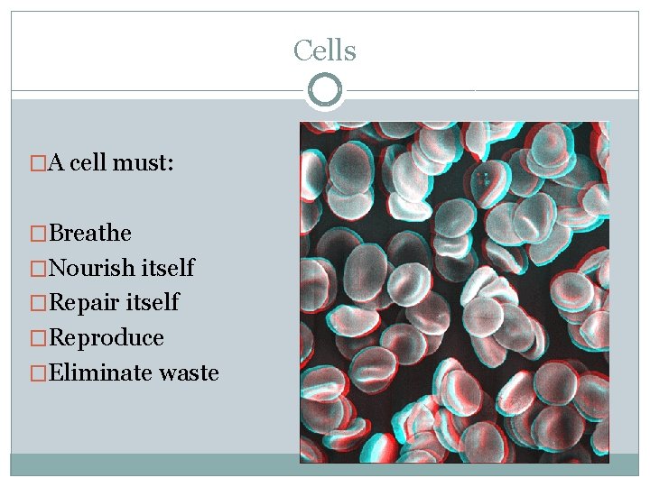 Cells �A cell must: �Breathe �Nourish itself �Repair itself �Reproduce �Eliminate waste 
