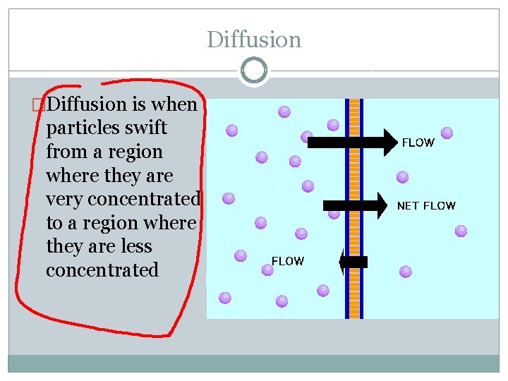 Diffusion �Diffusion is when particles swift from a region where they are very concentrated