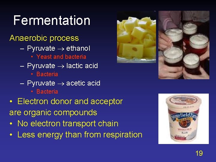 Fermentation Anaerobic process – Pyruvate ethanol • Yeast and bacteria – Pyruvate lactic acid