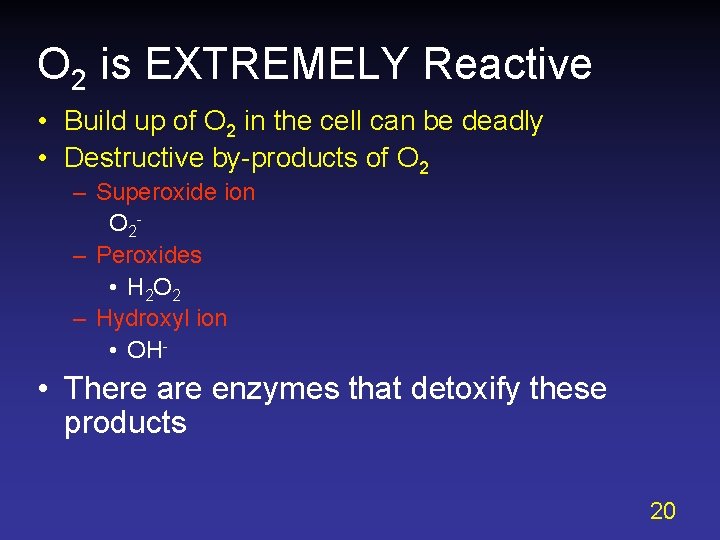 O 2 is EXTREMELY Reactive • Build up of O 2 in the cell