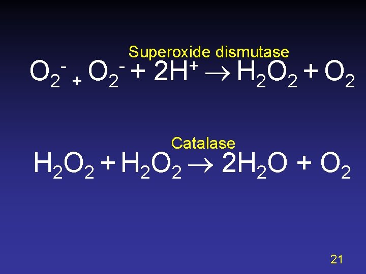 O 2 + O 2 - Superoxide dismutase -+ + 2 H H 2