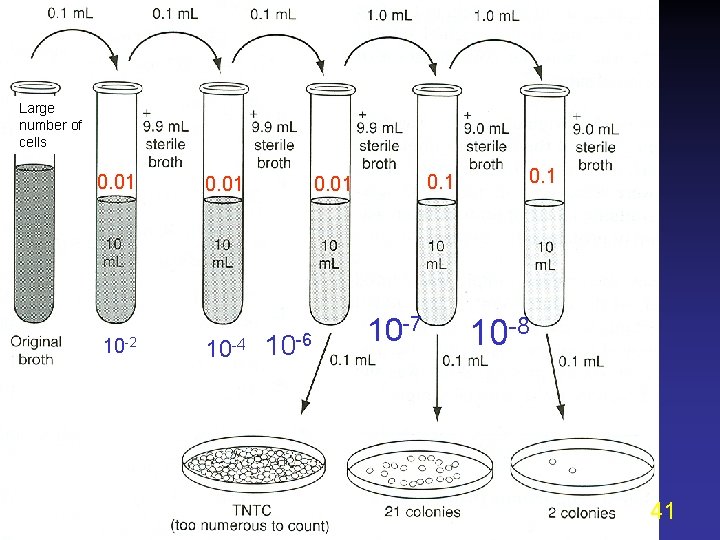 Large number of cells 0. 01 10 -2 0. 01 10 -4 0. 1