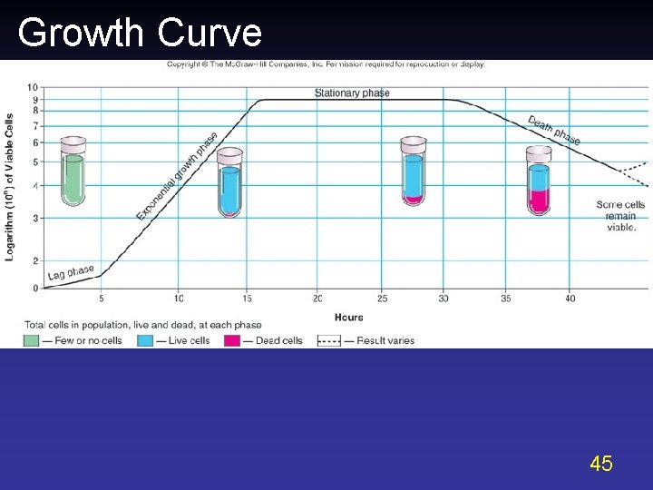 Growth Curve 45 